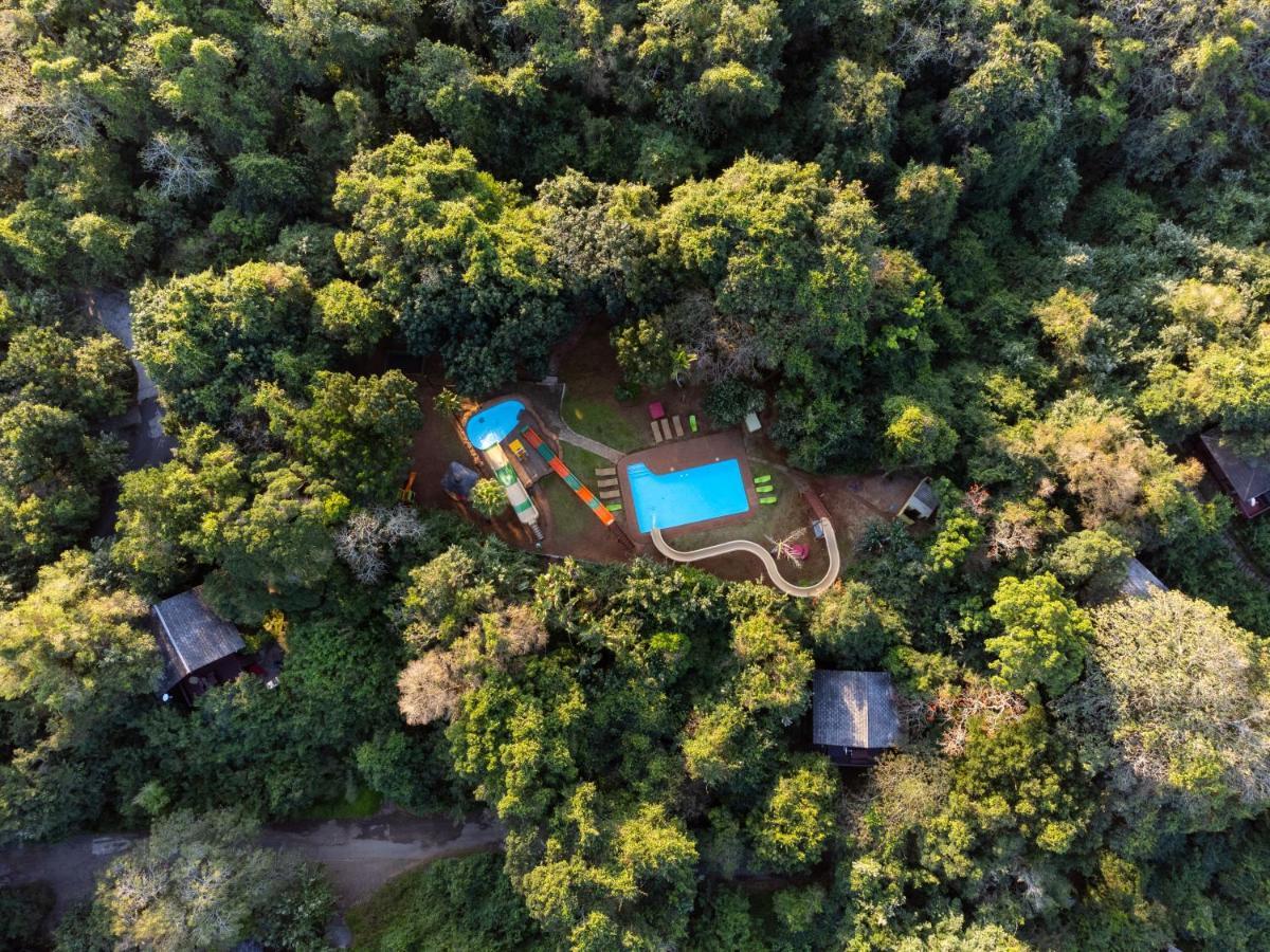 Mtunzini Forest Lodge Self Catering Resort Buitenkant foto