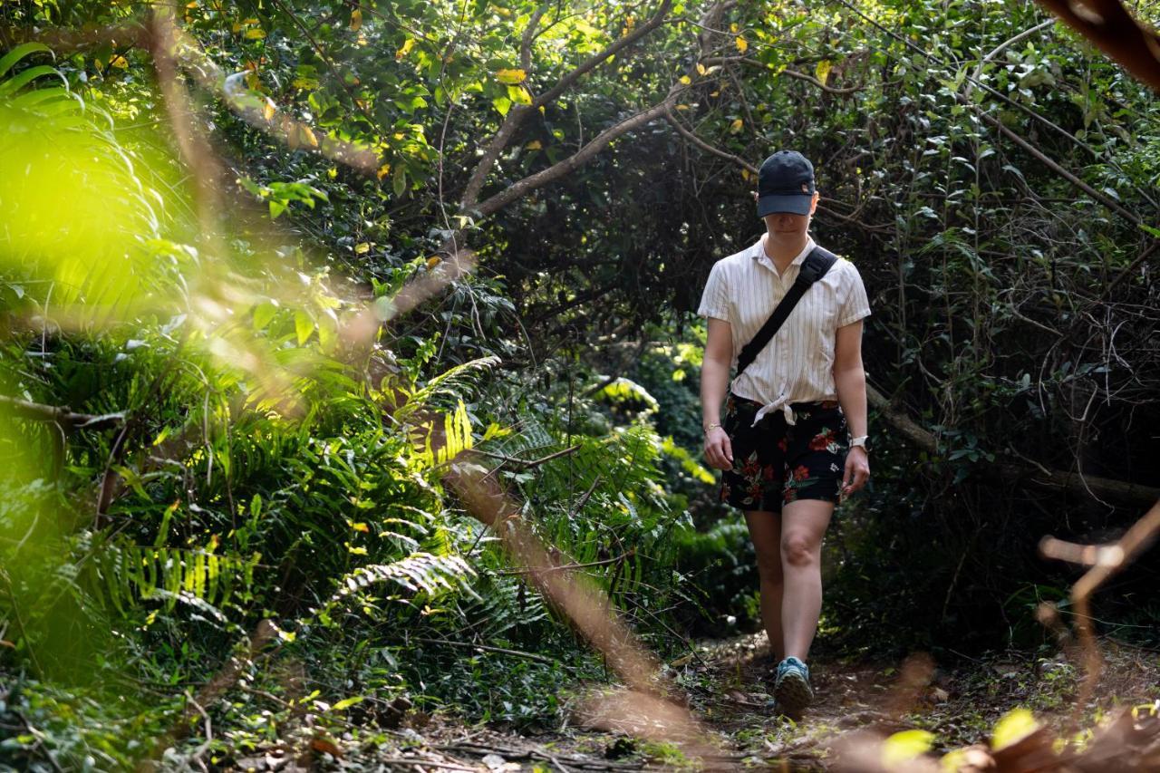 Mtunzini Forest Lodge Self Catering Resort Buitenkant foto