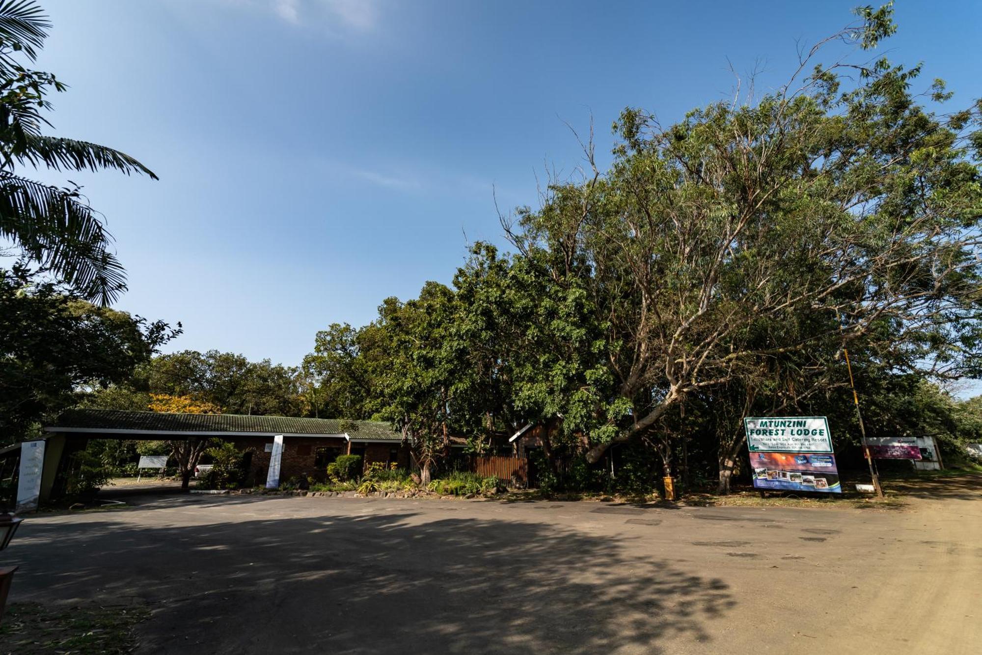 Mtunzini Forest Lodge Self Catering Resort Buitenkant foto