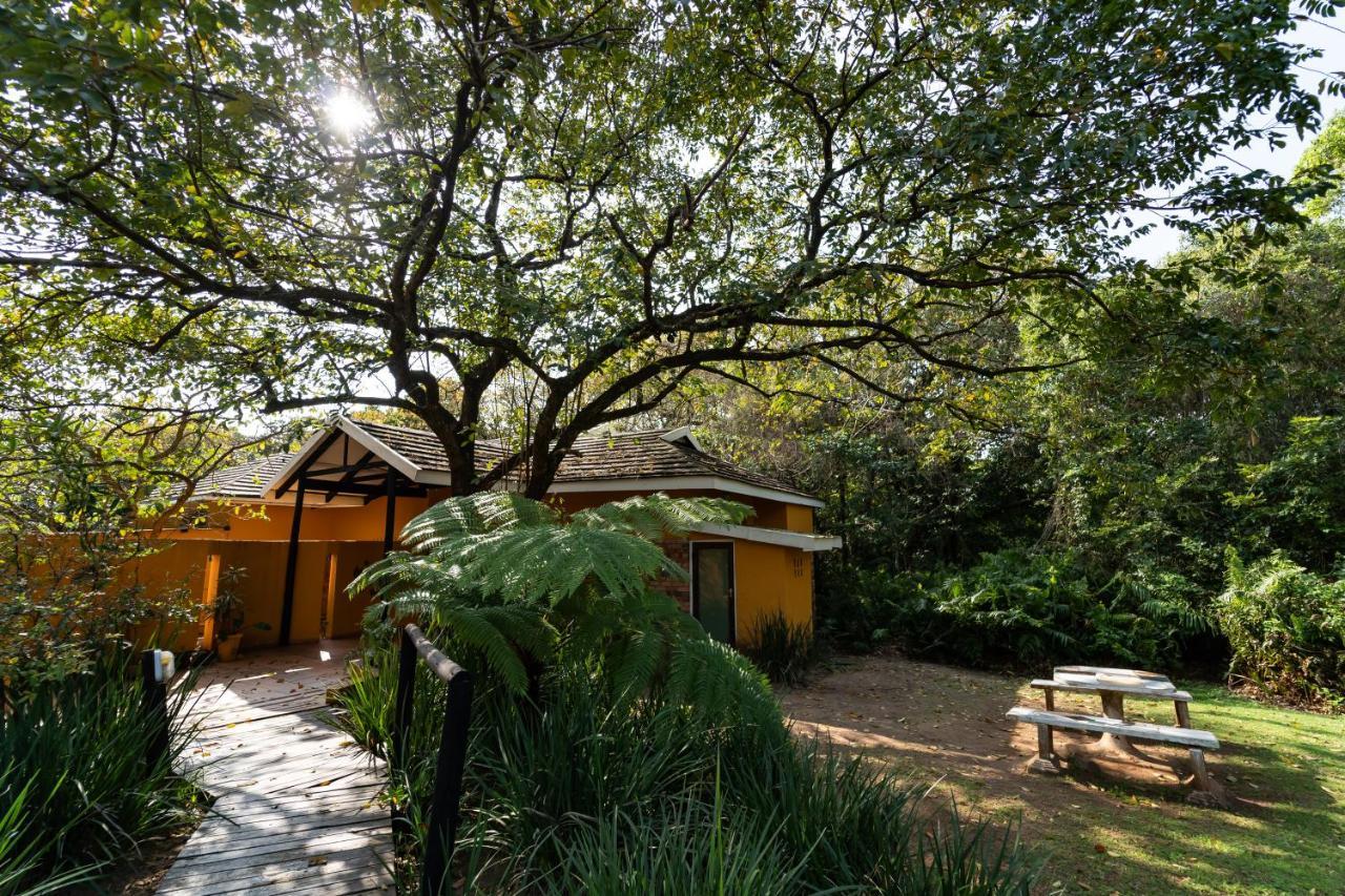 Mtunzini Forest Lodge Self Catering Resort Buitenkant foto