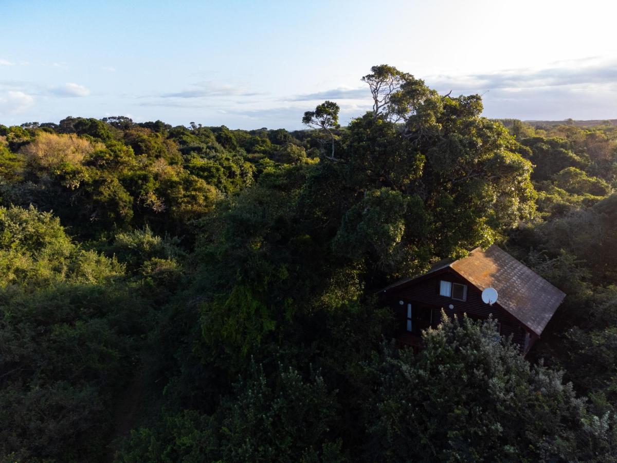 Mtunzini Forest Lodge Self Catering Resort Buitenkant foto
