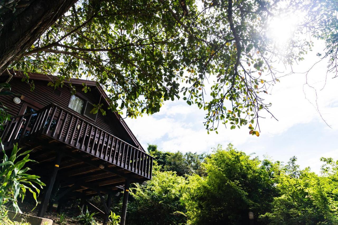 Mtunzini Forest Lodge Self Catering Resort Buitenkant foto