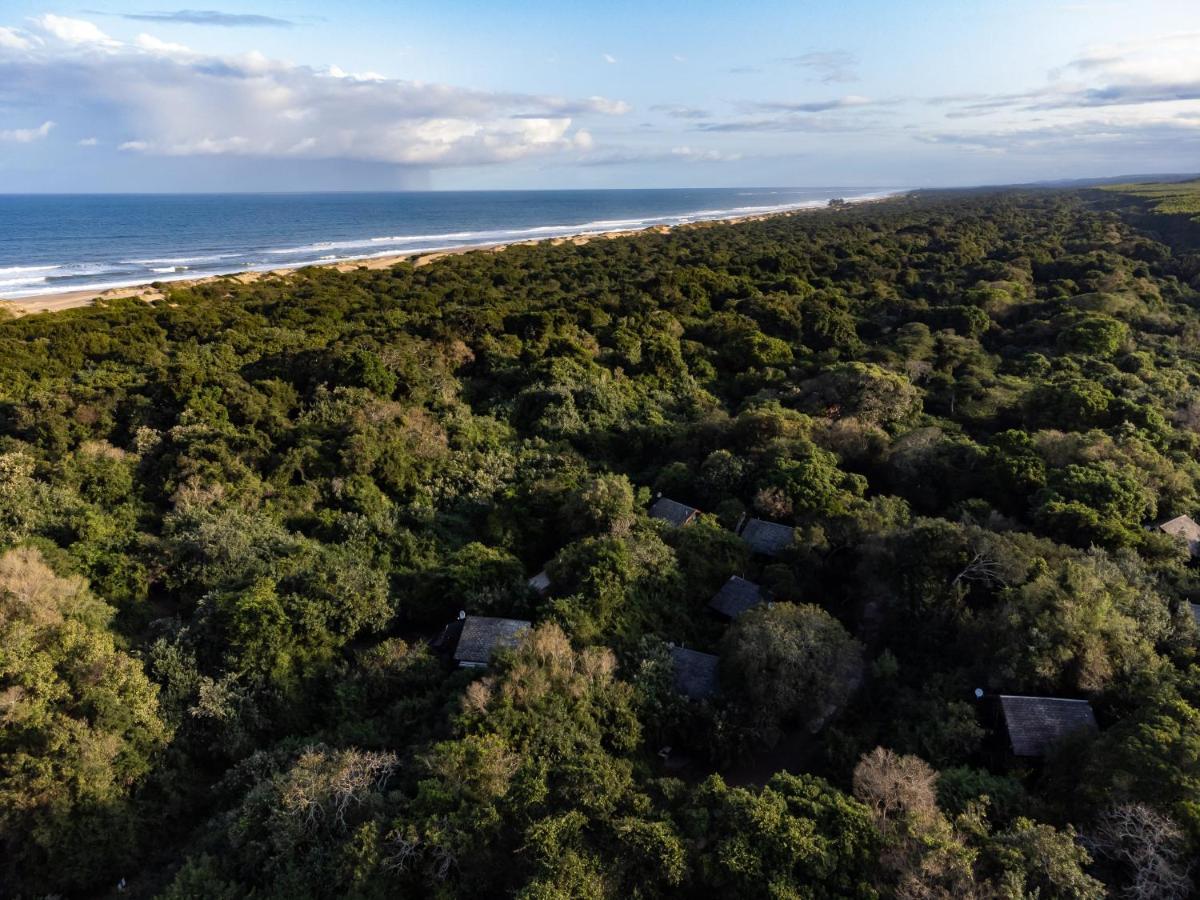 Mtunzini Forest Lodge Self Catering Resort Buitenkant foto