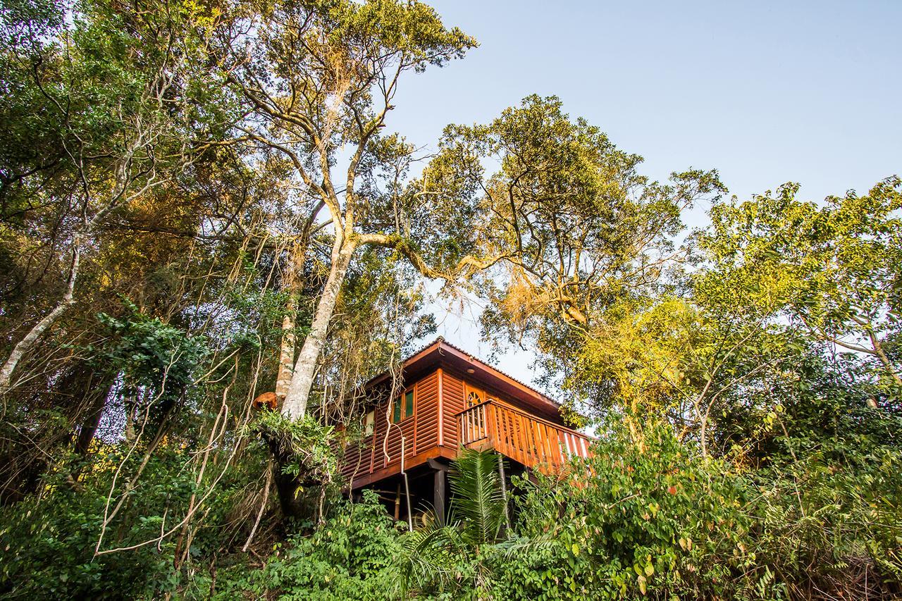 Mtunzini Forest Lodge Self Catering Resort Buitenkant foto